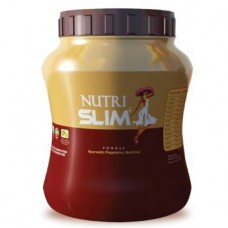 NUTRISLIM POWDER 500GM